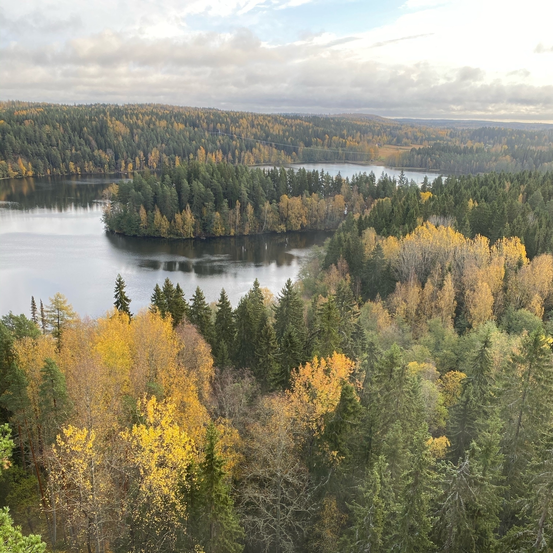 forest and lake, fall colours everewhere