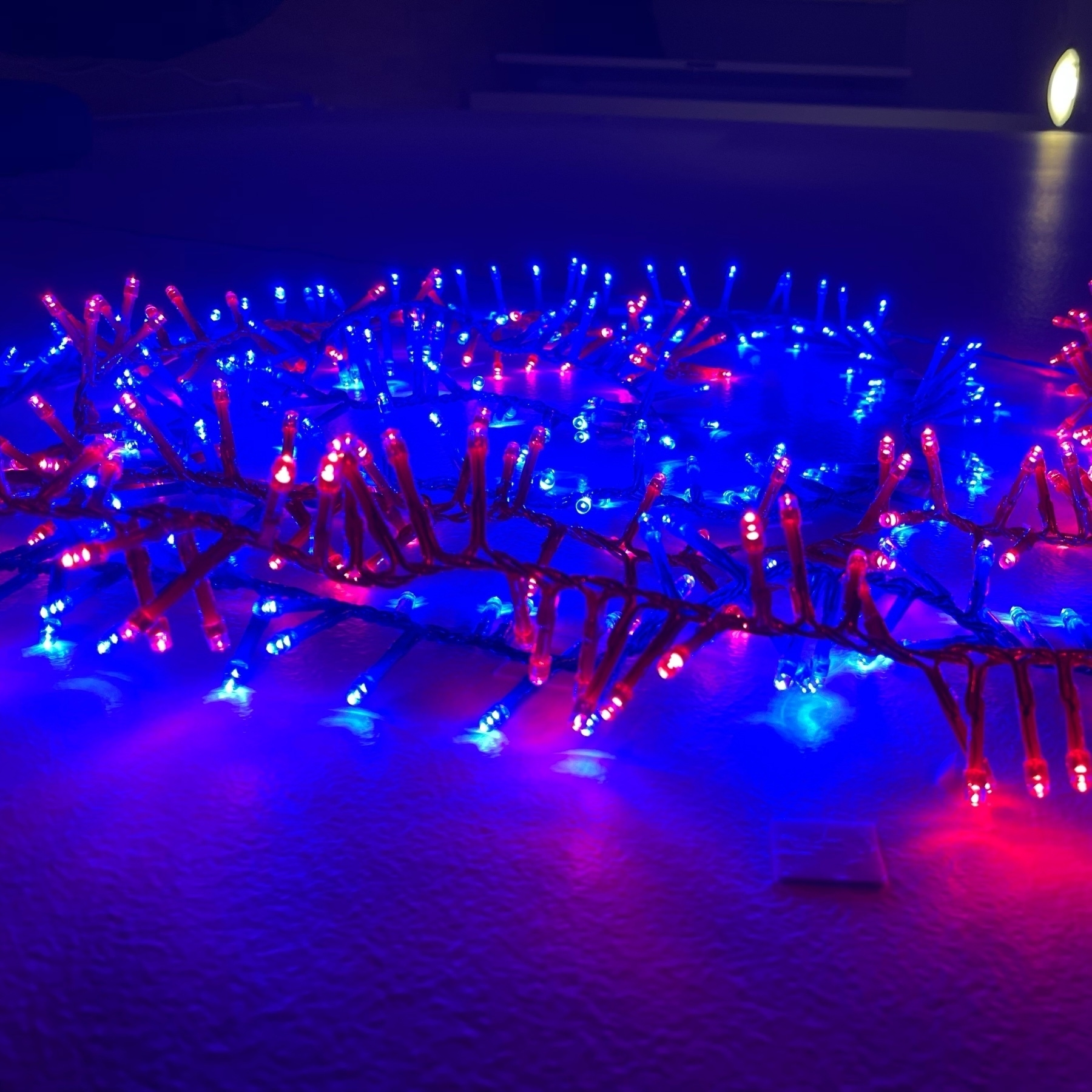 blue and red led light close up