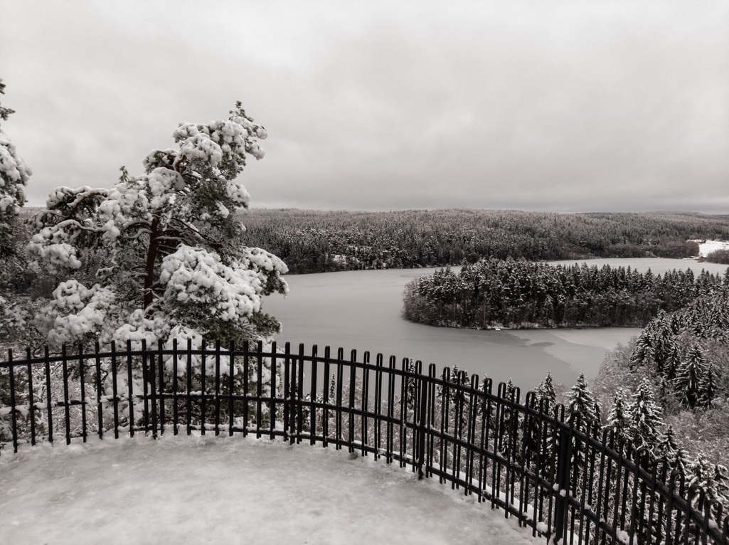 view over lake Aulangonjärvi in Hämeenlinna, snow packed on trees, metal railing, a lake