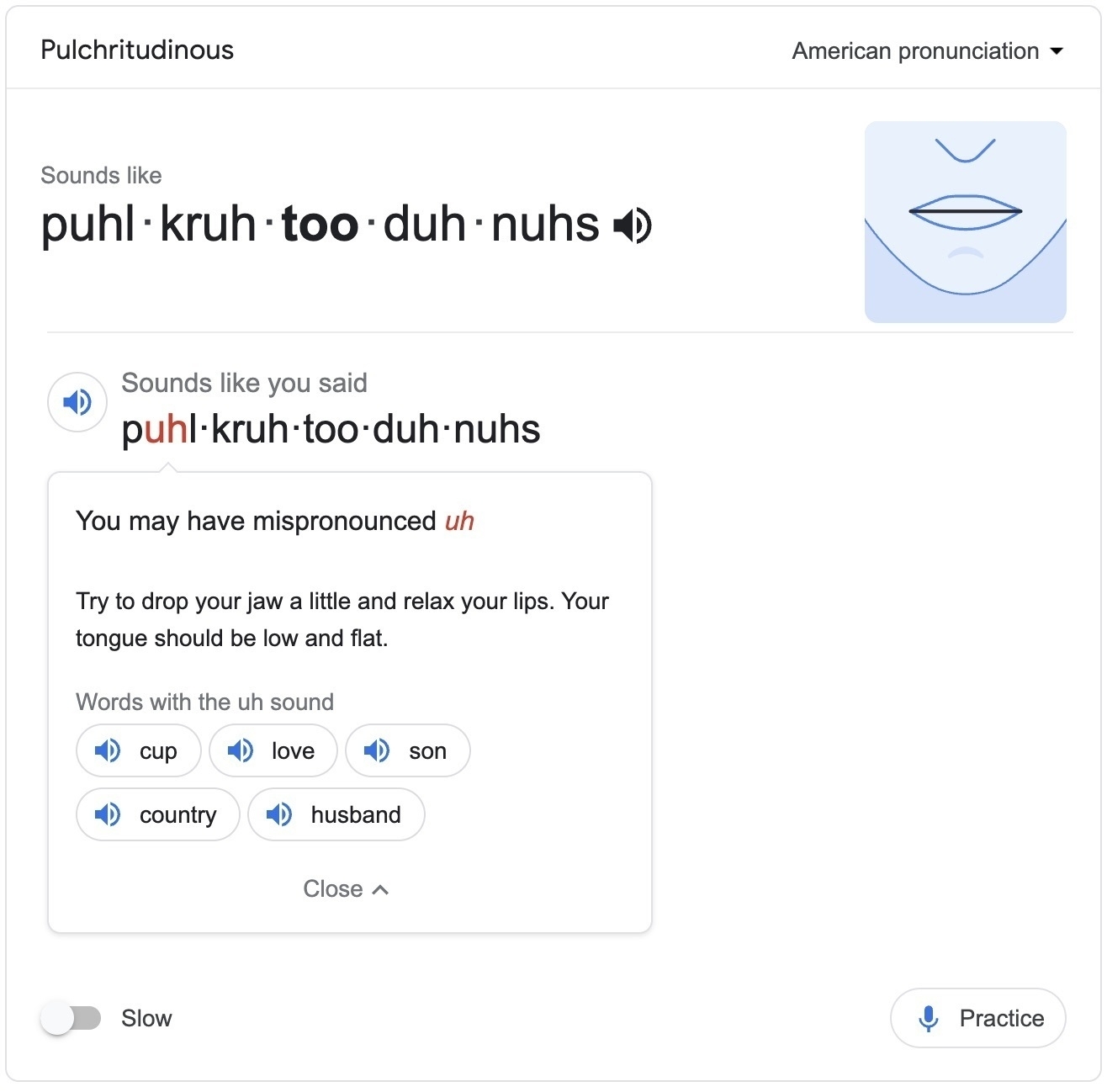 google pronunciation teacher tool screenshot, word is “Pulchritudinous”