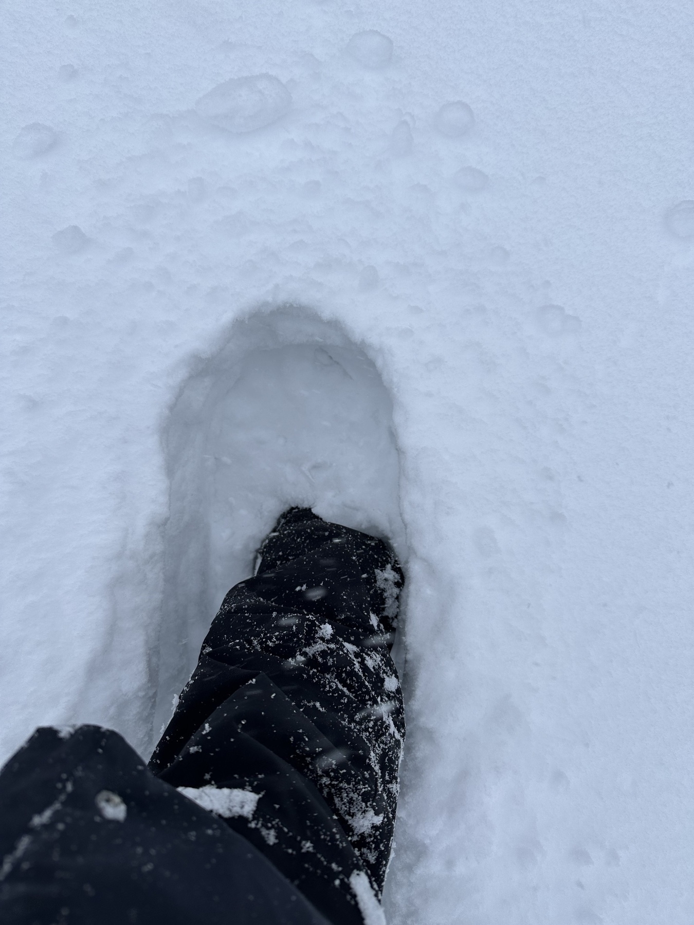 My leg knee deep in snow, shape of a snow shoe breaking the snow but shoes are deep down inside the blanket of snow