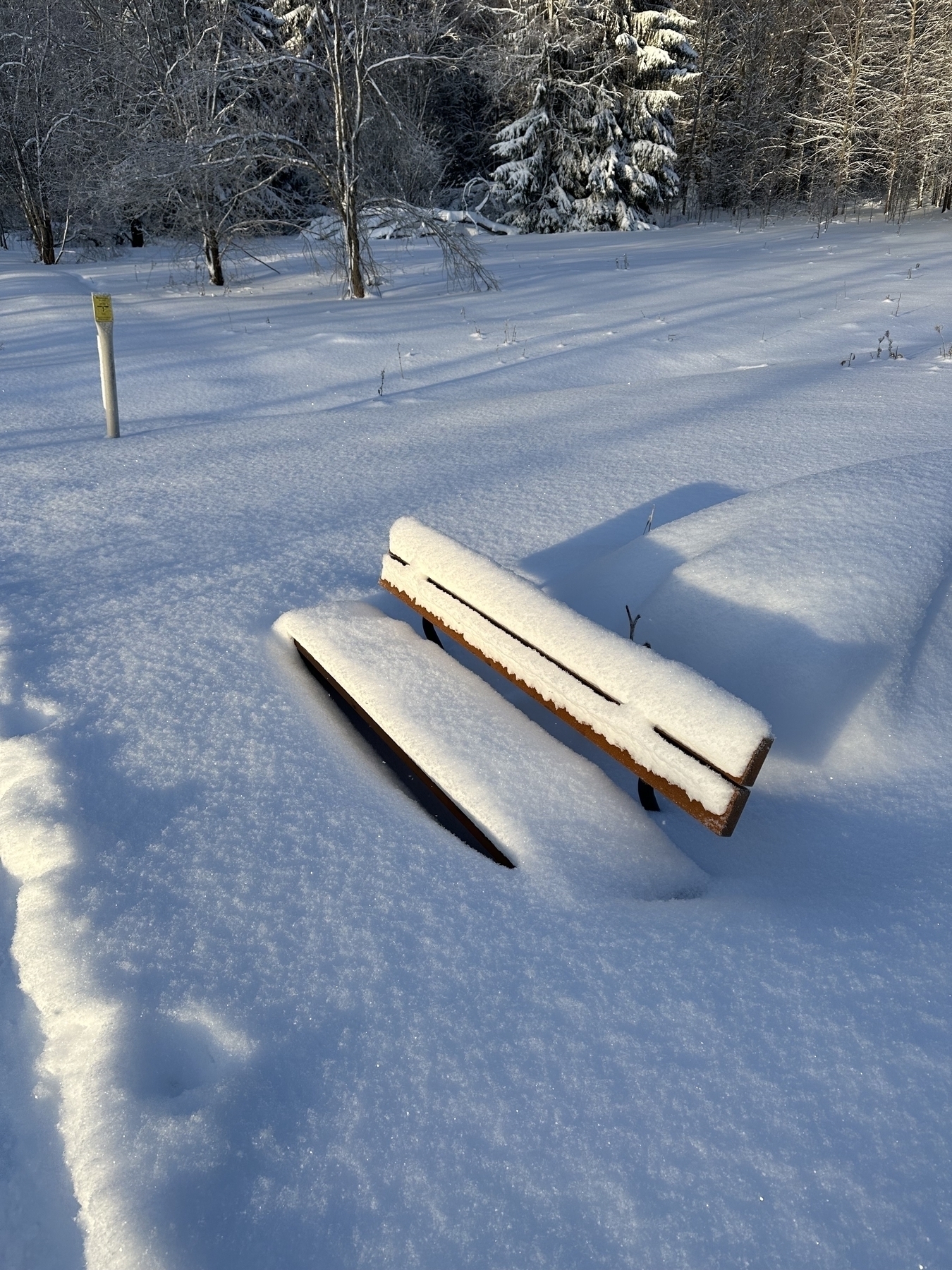 Park bench pretty much eaten up by snow. Snow reaches the seat level