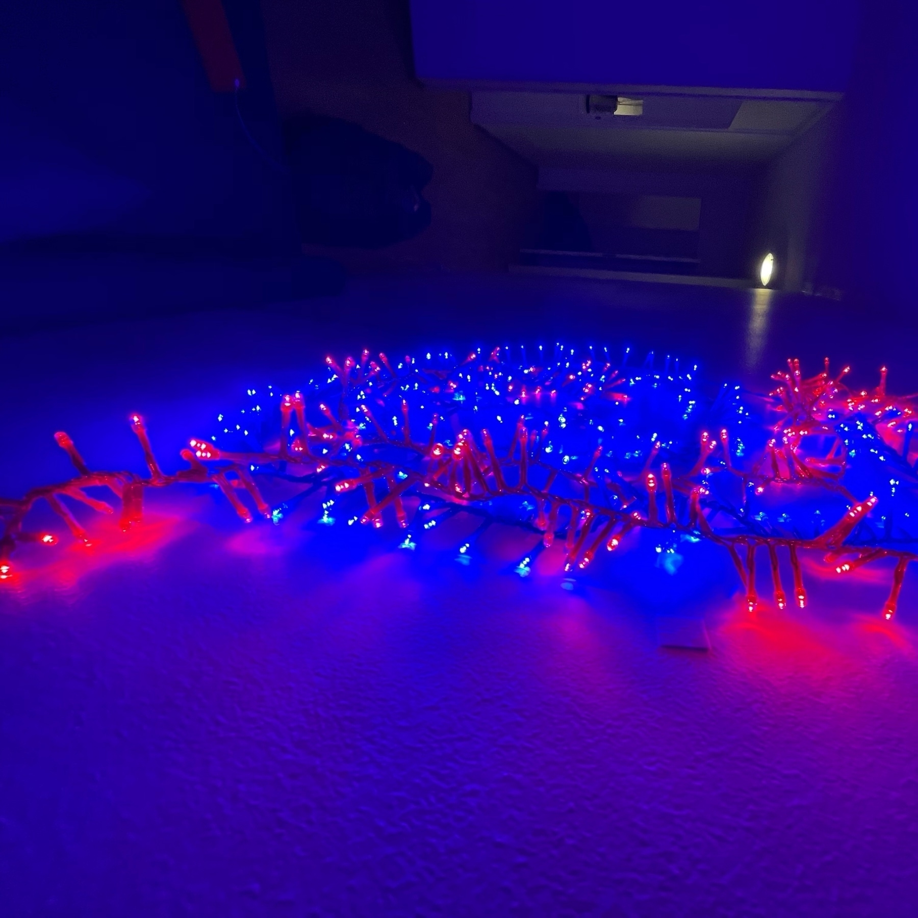 blue and red led light close up