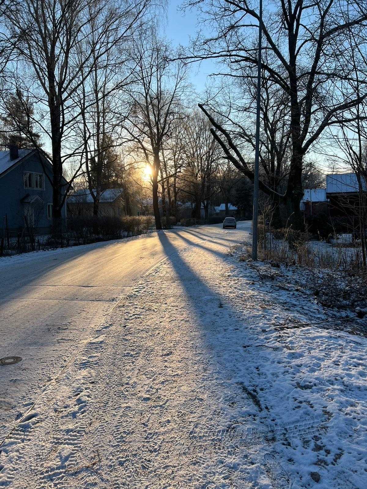 sun peeking through trees, shadows laid on snowy street