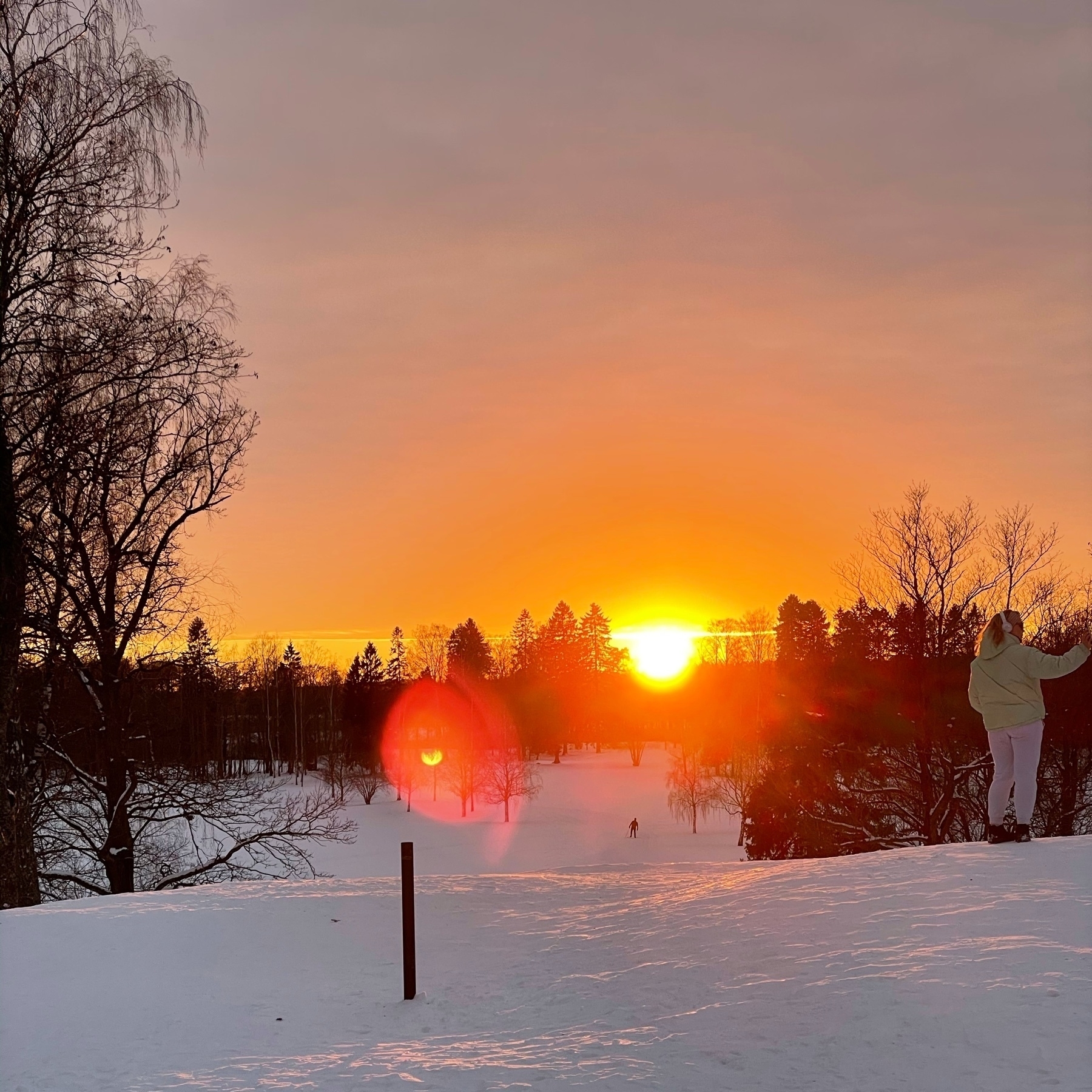 sunset, snow, trees, skier