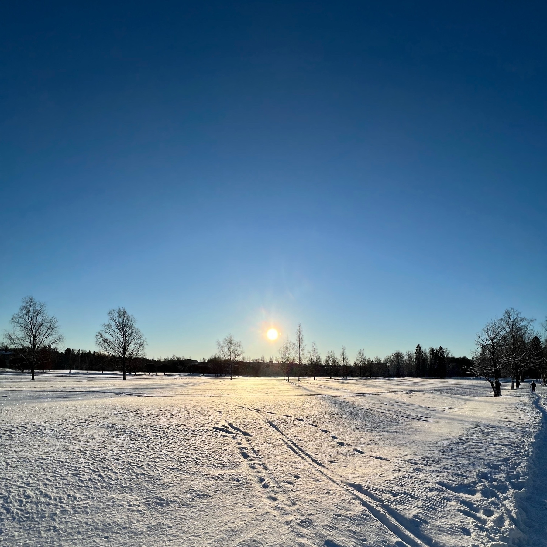winter sun on a cloudless sky and snow as far as can be seen