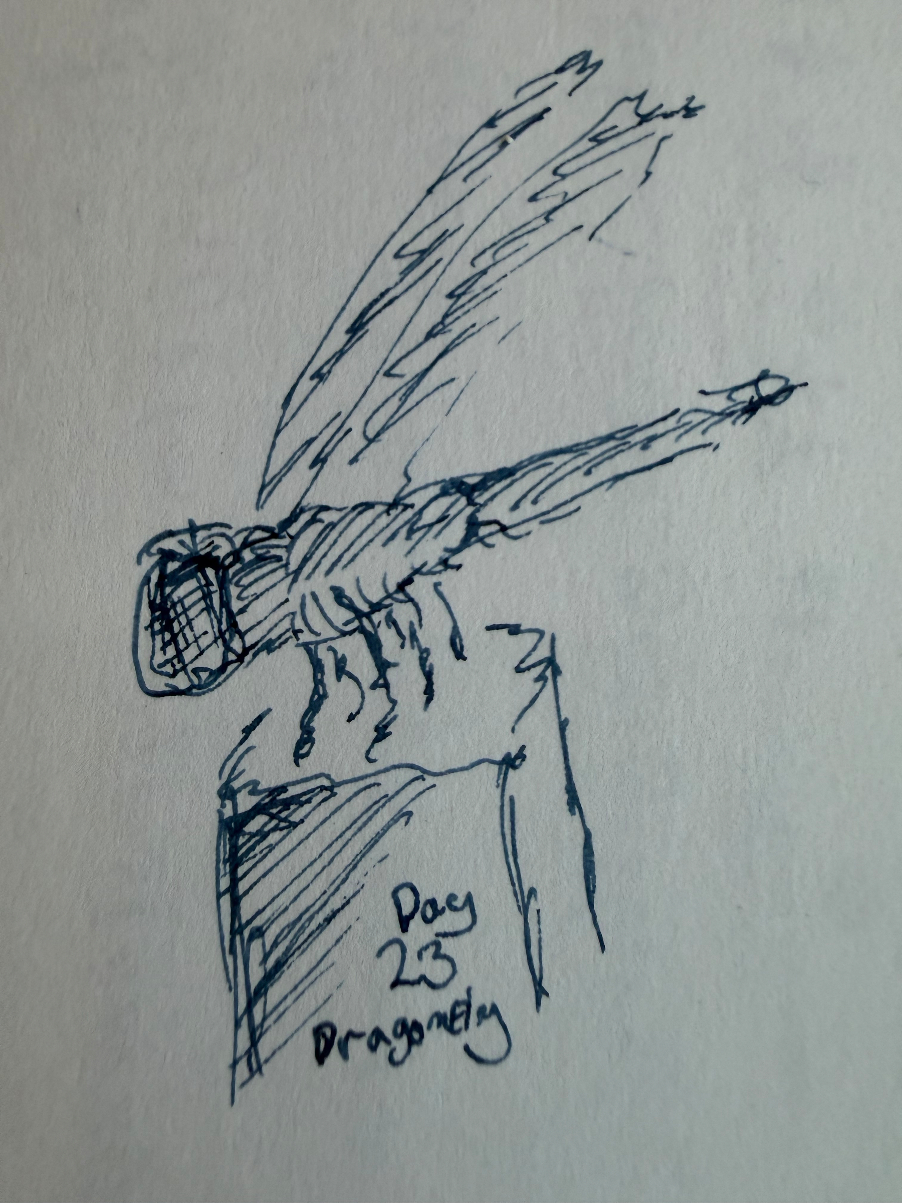 Rough idea of a dragonfly sitting on top of a pole