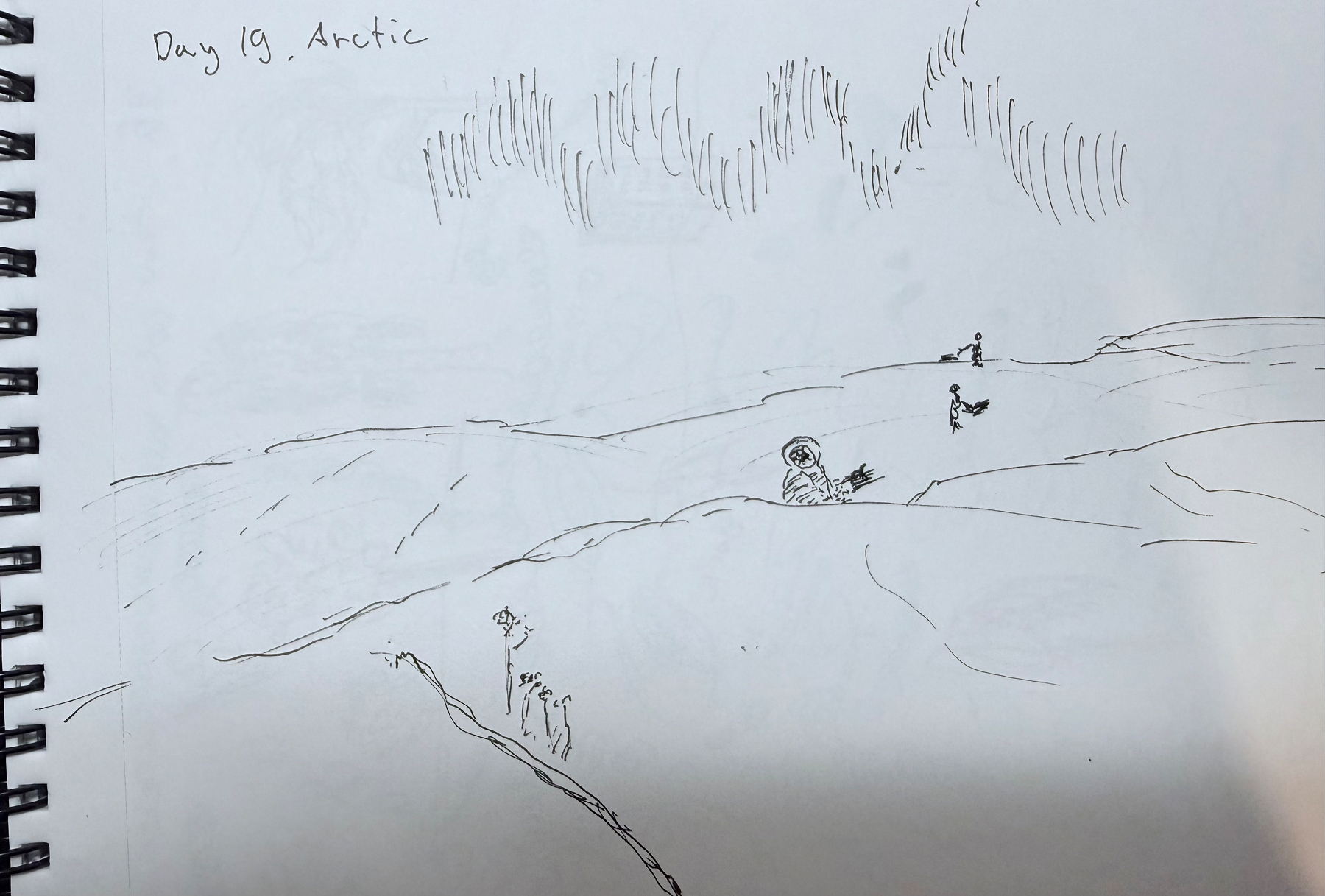 Thin lines of ink suggesting a group of people walking through a snowy landscape pulling sleds. Some dried up winter flowers in front